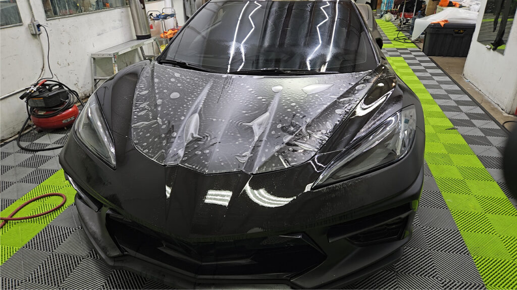 LP_Dimond Tint_Img 11