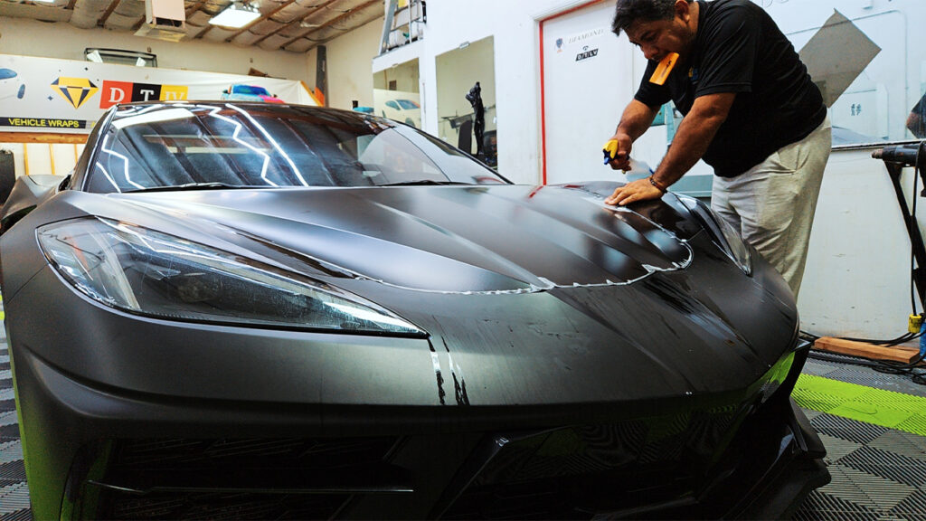 LP_Dimond Tint_Img 12